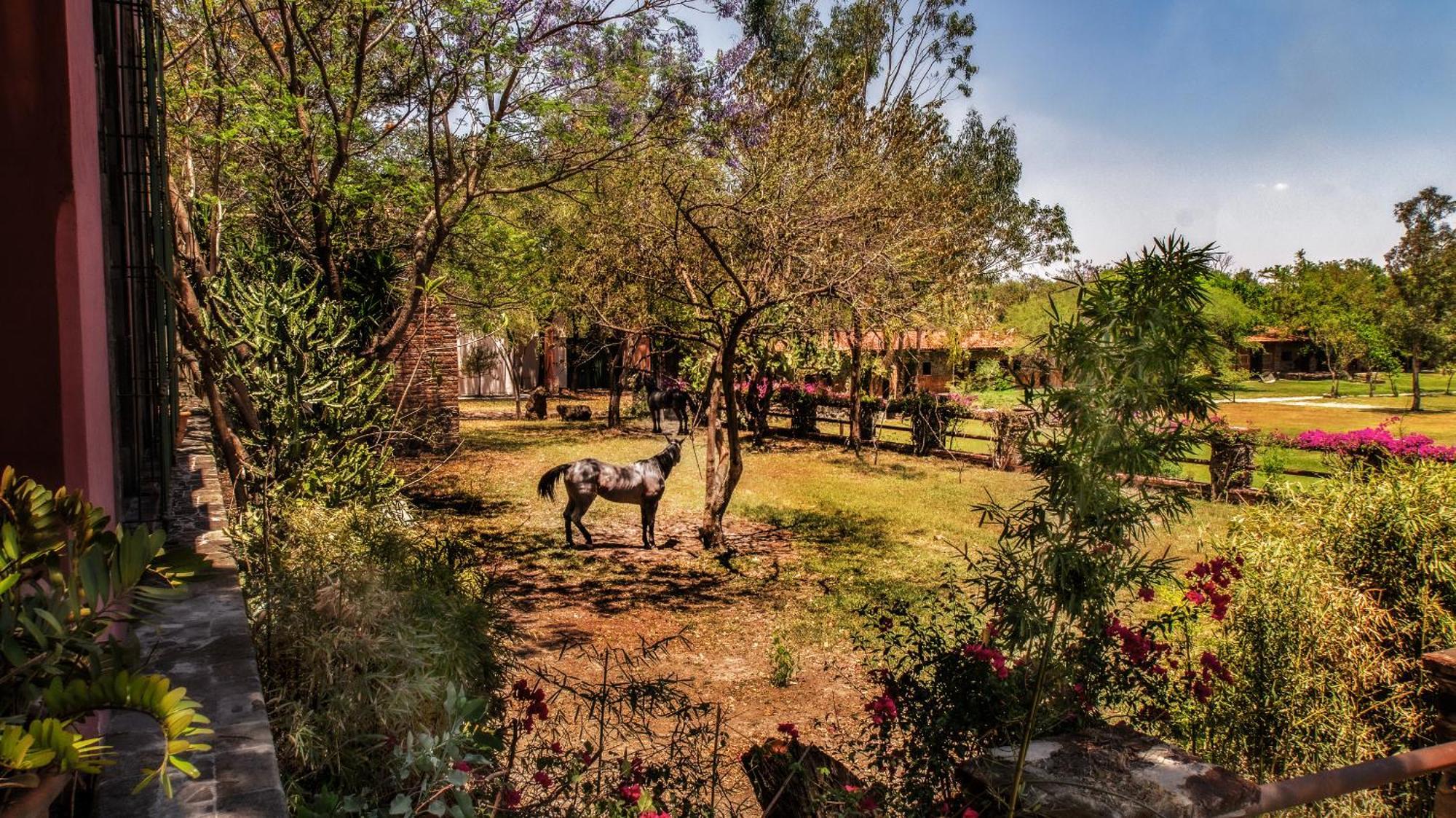 Hacienda Labor De Rivera Hotel Boutique & Eventos Teuchitlán Buitenkant foto